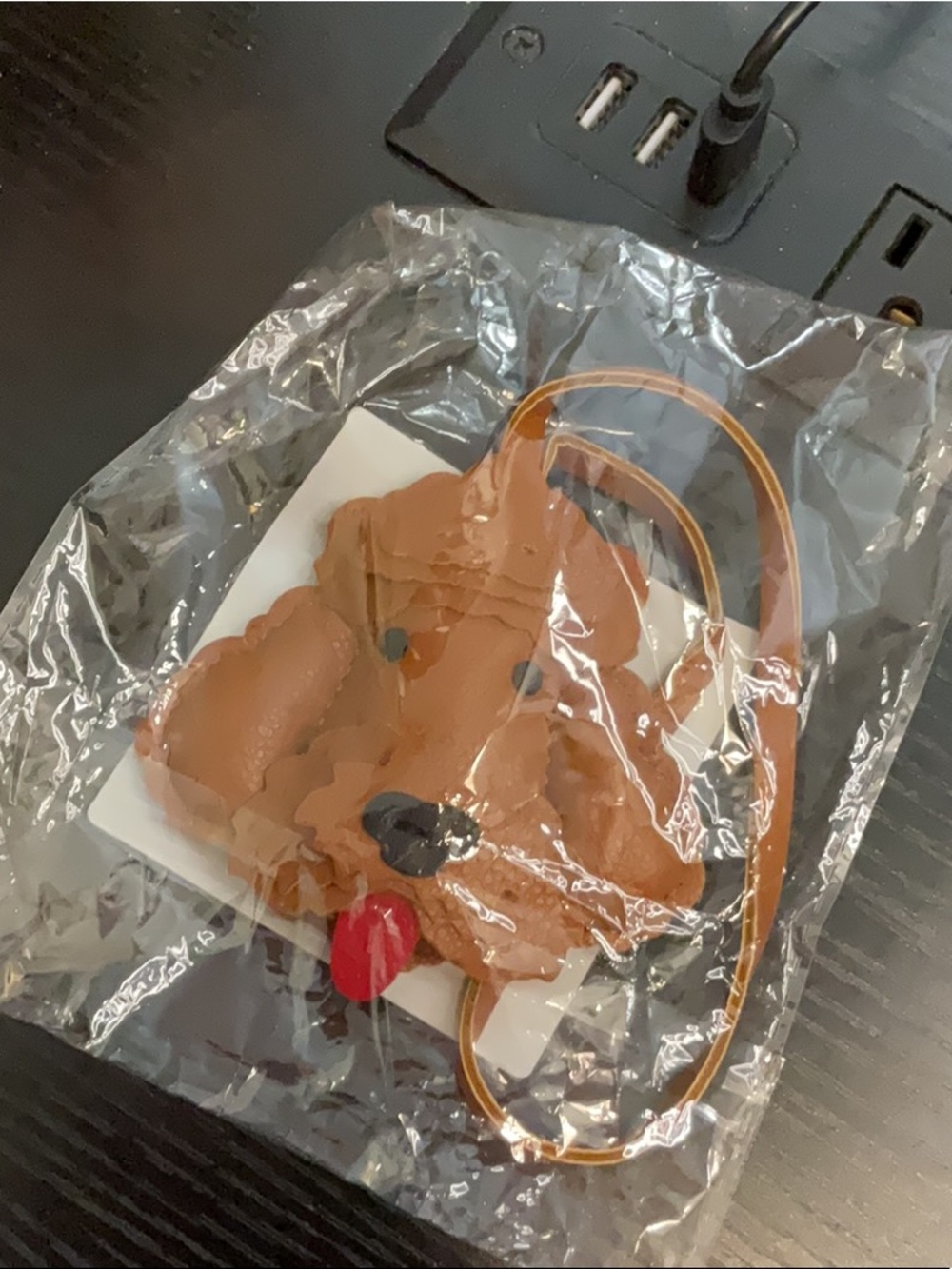 dog bag charm